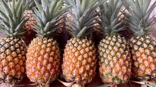 伊洛瓦底省扎伦县区出产的凤梨水果购买者众多正在热销之中