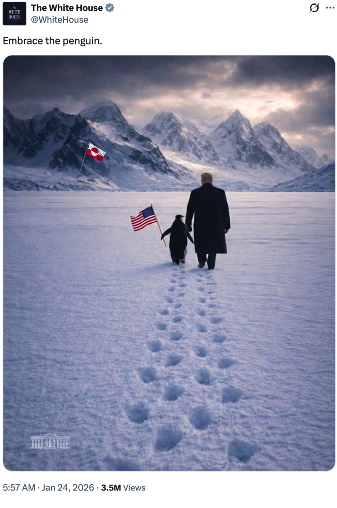 白宫新操作，网友“惊呆”：格陵兰岛没有企鹅啊……