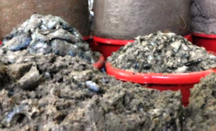 伊洛瓦底省礼德耶县区1月份期间向仰光都市输送出大量虾酱