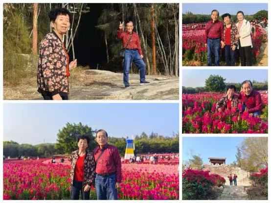 渔歌子·翔安香山花海咏 (晨阳)