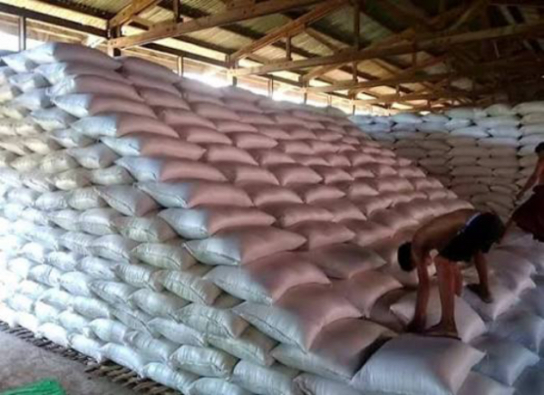 伊洛瓦底省毛淡棉遵县区向仰光市大量输送出“南开”品种稻谷