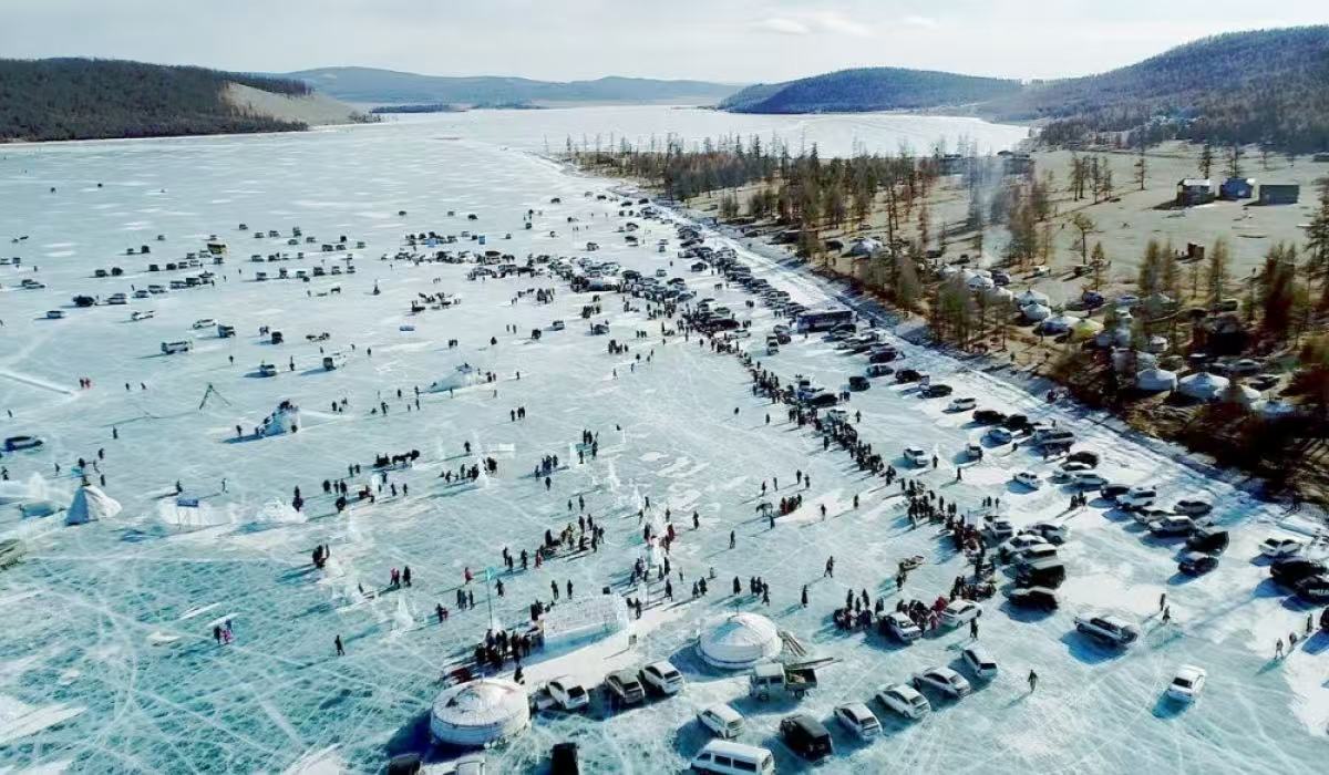 蒙古国家举办国际森林日活动