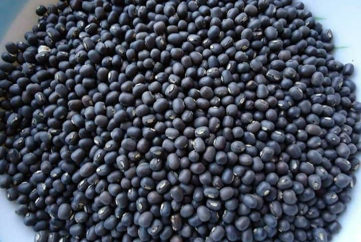 实皆省蒙育瓦专区冬季种植的4千多英亩黑麦豆已全部完成采收