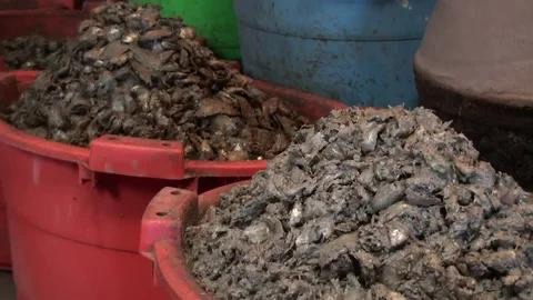 伊洛瓦底省壁榜县区生产出来的虾酱大量输送往仰光大都市销售