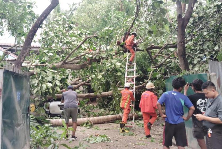 仰光多地遭强风袭击，树木倒伏民宅受损