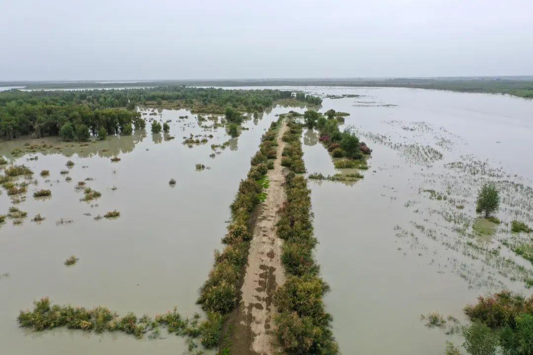 中国新疆沙漠地区可能面临极端的洪涝灾害