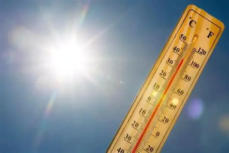 今年6月已成为有记录以来第二高温的6月份