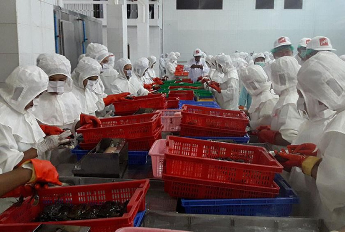 缅甸将强化畜牧业产品加工厂监管 推动国际认证体系建设