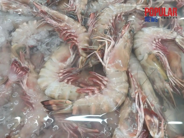 缅甸本财年半年虾类出口超4235公吨